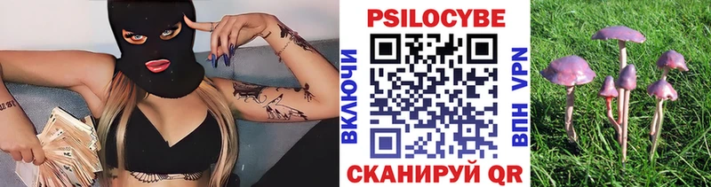 Галлюциногенные грибы Magic Shrooms сколько стоит Североморск
