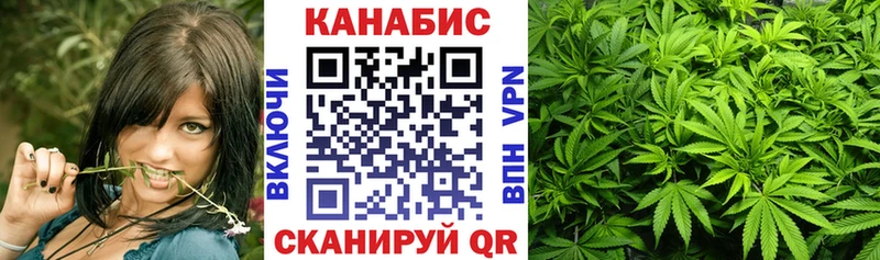 купить  цена  Североморск  Каннабис индика 